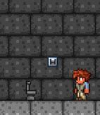 terraria toilet|Toilets .